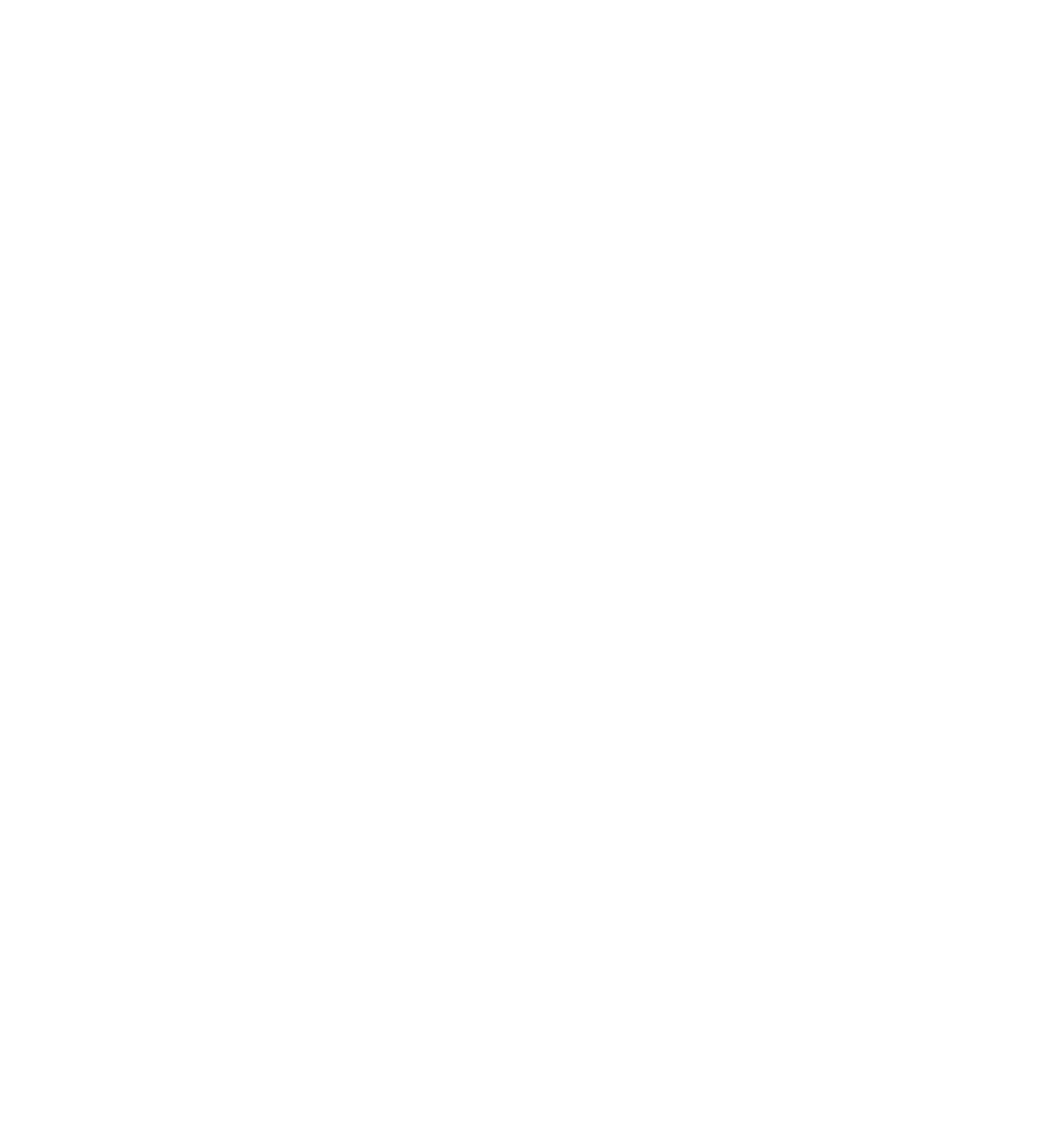 BS Logo wht